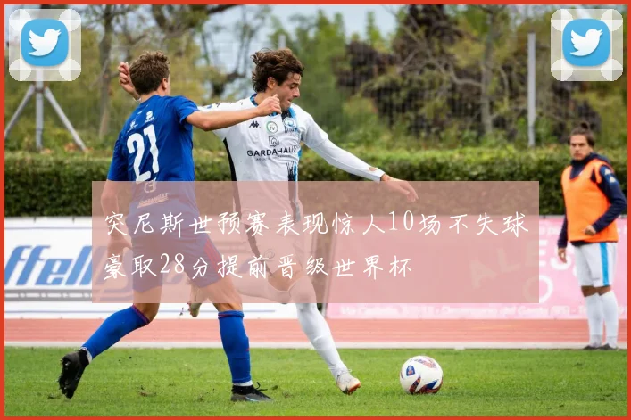 突尼斯世预赛表现惊人10场不失球豪取28分提前晋级世界杯