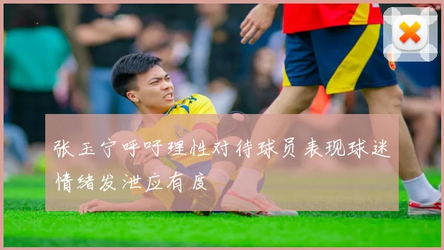 张玉宁呼吁理性对待球员表现球迷情绪发泄应有度