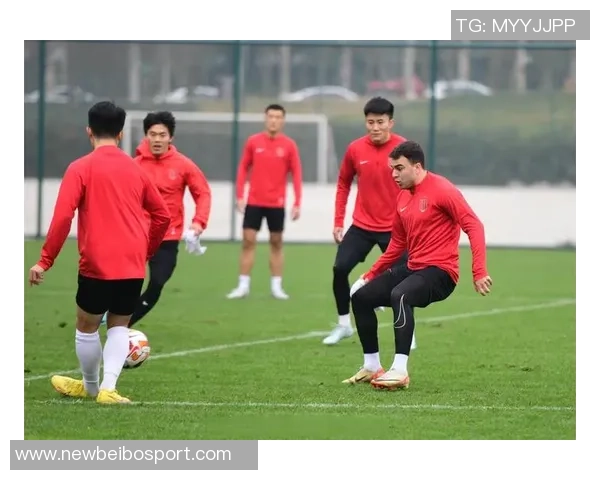 海港队冬训进入关键阶段聚焦体能提升与阵容磨合全力备战新赛季